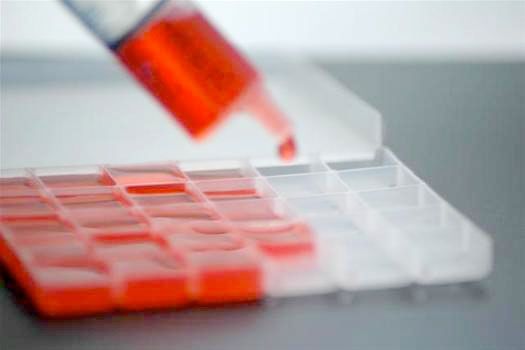 Sildenafil/Testosterone troches | Defy Medical